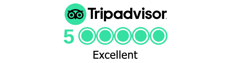 Tripadvisor Logo with stars